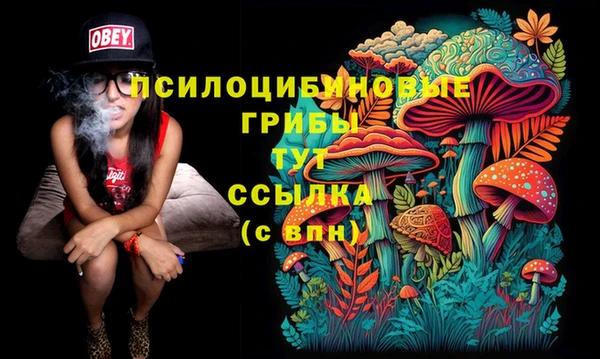 спайс Зеленокумск