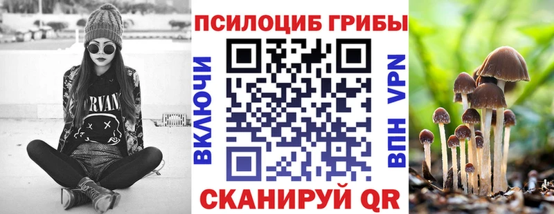 Купить где  Тавда  Псилоцибиновые грибы прущие грибы 